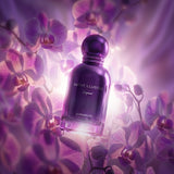 Night Illusion EDP