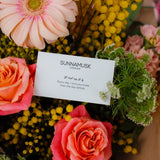 Valentine's Love Letter